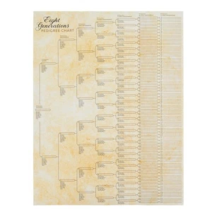 "Paquete de 15 gráficos de árboles genealógicos para rellenar, póster de genealogía de ocho generaciones, 17x22" - Imagen 1 de 10