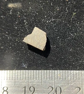 Laketon meteorite L6 chondrite slice - 0.62 gram - Texas - Picture 1 of 7