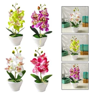 Potted Plant Exquisite Finish Five Heads Artificial Flowers Brand New - Picture 1 of 41