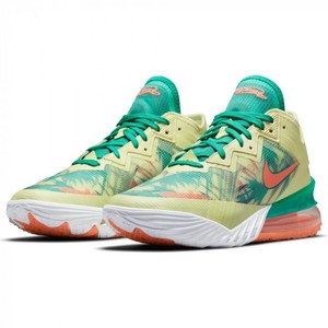 Las mejores ofertas en Cordones Nike Nike LeBron James Zapatos deportivos  para mujeres | eBay