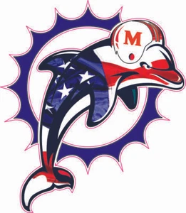 Dolphins 97-12 Flag Inspired Mini Football Helmet Decals - Bild 1 von 3
