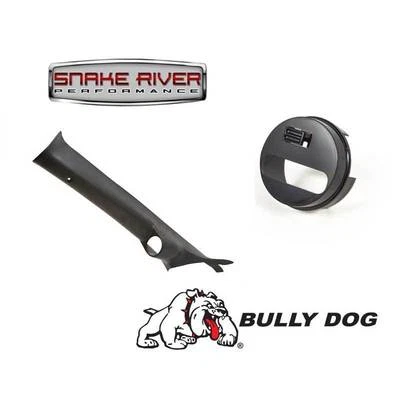 MONTAJE PILAR BULLY PERRO PARA FORD SUPERDUTY F250 F350 11-16 6,2 L 6,8 L 6,7 L 31306 Foto 1 de 4