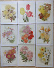 9 Antique Flower Prints The Garden Magazine Supplement Horticulture 1907-1912