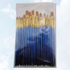 50er Pinselset für Acryl, Öl, Aquarell, Nail Art, Miniaturmalerei (Blau)