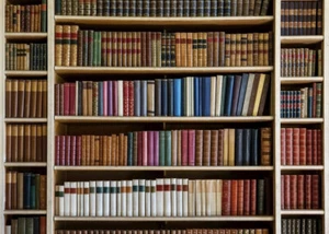 Librería de fondo de estudio de vinilo libros antiguos fotografía de fondo 7x5 pies - Imagen 1 de 11