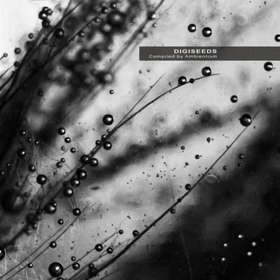 Digiseeds CD Ultimae Records Compilation By Ambientium New Sealed Electronica - Image 1 of 4