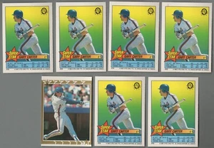 Pegatinas de béisbol O-Pee-Chee 1989 Gary Carter lote de 7 variedades diferentes - Imagen 1 de 2