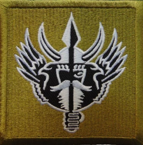 Norwegen Norwegian Armed Special Forces Command FSK Odin Bügelbild/Aufnäher Patch - Bild 1 von 1