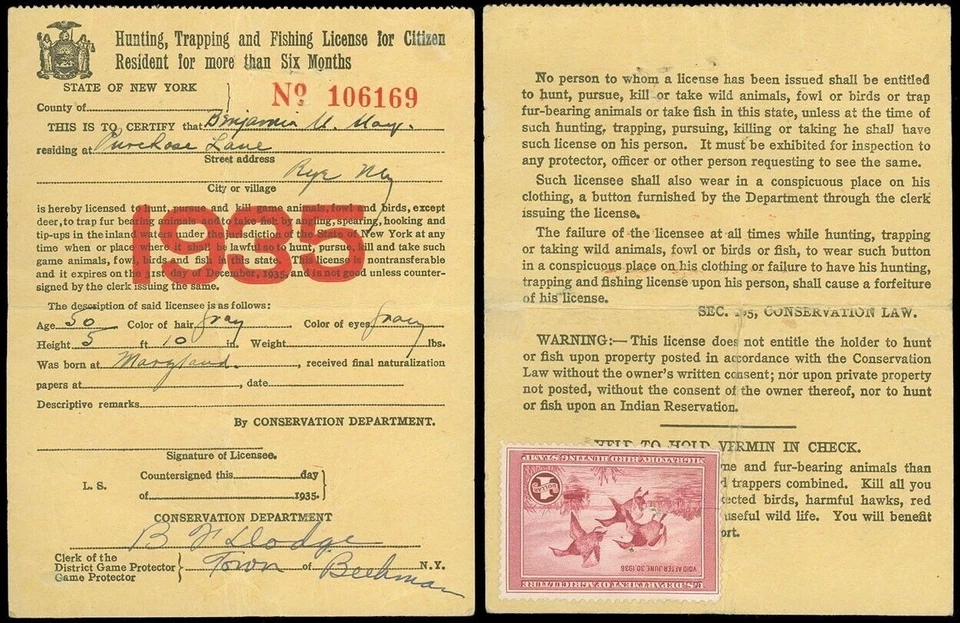 1935, US SC #RW2 STAMP on DUCK HUNTING LICENSE! Resident, State of New York! - Image 1 of 1
