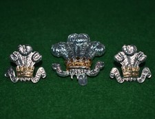 The Royal Wiltshire Yeomanry Anodised Cap & Collar badges