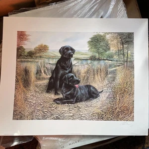 15 X Joblot Ruane Manning Black Labs Prints , Poster Art 16” X 20” Drawing - Picture 1 of 3