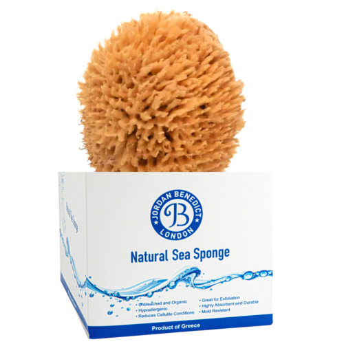 Jordan Benedict Natural Shower Sponge - Unbleached Soft Wool Bath Sea Sponge 