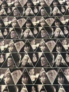Harry Potter Cotton Fabric - 2 1/2 YARDS - Camelot Fabrics - Picture 1 of 2