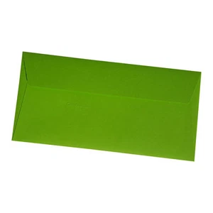 200 Minze Briefumschläge Maigrün DL Pollen Clairefontaine DIN Lang farbig Grün - Bild 1 von 4