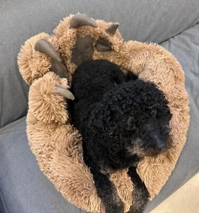 Kuscheliges Hundebett Rund aus Plüsch – Waschbar, Weich & ideal für kleine Hunde - Bild 1 von 8
