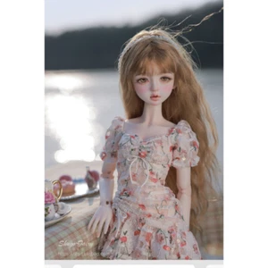 Full Set 1/4 BJD SD Ball Joint Resin Doll Girl Dress Face Makeup Changeable Eyes - Bild 1 von 17