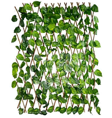 TRALICCIO con Foglie Siepe Artificiale Sintetica Edera Finta Balcone 1x2 metri - Immagine 1 di 4