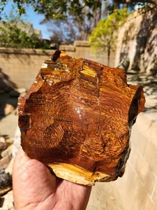 Deschutes Biggs Picture Jasper Rough Specimen 6.5"X6"X3" 3.7 Pounds See Video - Picture 1 of 11