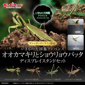 The Diversity of Life on Earth Mantis & Grasshopper w/ Wings & Stand Bandai - Picture 1 of 18