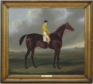 Handmade Old Master-Art Antique Oil Painting Men bay Racehorse on canvas - Picture 1 of 2