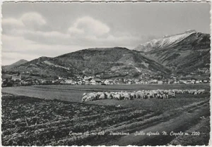 LAMON - PANORAMA - SULLO SFONDO M.CUPOLO (BELLUNO) 1959 - Foto 1 di 1