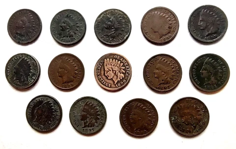 14 different Indian Head pennies 1880-1899 Cover