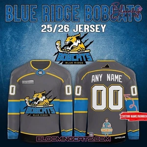Personalized Blue Ridge Bobcats Pro Hockey Shirt Season 25/26 Grey Fan Apparel - Picture 1 of 10