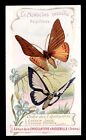 chromo AIGUEBELLE-le monde des insectes.papillons 3
