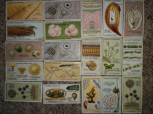 JOHN PLAYERS CIGARETTE CARDS- HIDDEN BEAUTIES 18/25 plus 1 Duplicate - Picture 1 of 1