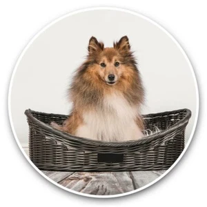 2 x Vinyl Aufkleber 30 cm - Langhaar Sheltie Hund #45611 - Bild 1 von 8
