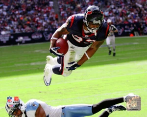 Arian Foster Houston Texans - 8x10 Photo with Protective Sleeve #1437 - Picture 1 of 1