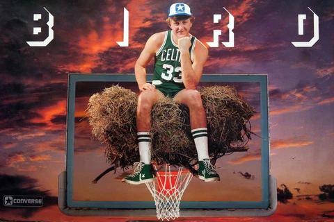 BOSTON CELTICS LARRY BIRD "BIRDS NEST" 20X30 POSTER PRINT Cover