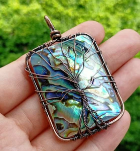 5 piezas Amuleto curativo de energía Reiki cáscara de abulón natural cáscara - Imagen 1 de 3