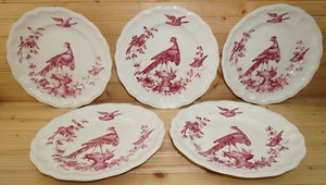 Coalport Chelsea Vogel rot (5) Essteller, 10 1/2" (G63) - Bild 1 von 14