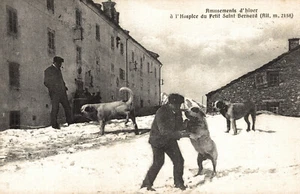 PICCOLO SAN BERNARDO, PETIT SAINT BERNARD, Aosta - L'Ospizio - Cani - VG - S004 - Picture 1 of 2