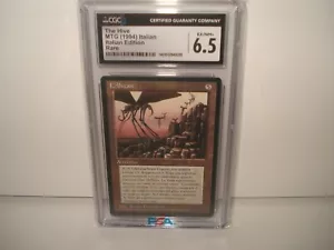 1994 MTG MAGIC THE GATHERING ITALIAN THE HIVE ITALIAN EDITION FBB RARE CGC 6.5 - Picture 1 of 1