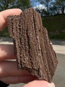 Rare Druzy Permineralized Fossil Wood with Quartz From Zwenkau, Leipzig, Germany - Picture 1 of 5