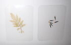 Laminated French Marigold Leaf & Seed 75x55 mm Plastic Sheet Education Specimen