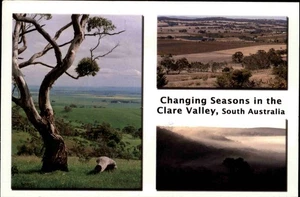 Clare Valley Australien Postcard Australia Briefmarke Stamp Tiermotiv DINGO - Picture 1 of 2