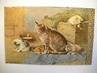 4 KITTENS IN BARN ARE WATCHED BY MOTHER CAT antique unused postcard CHROMOLITHO 