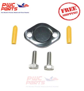 Placa de bloqueo de inyección de aceite Yamaha 650/701/760 SuperJet WaveBlaster XL700 PWC - Imagen 1 de 1