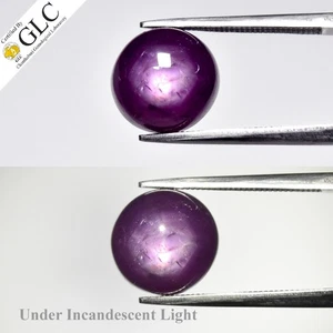 💎 GLC CERTIFIED 8.32ct Round Natural Purple Red 6 Ray Star Ruby Unheated Guinea - Picture 1 of 7