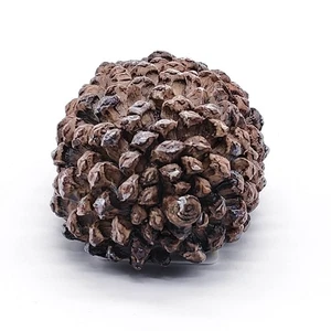1pc Pine Cones Hide Keys Box, Hide Key Outside, Fake Pine Cones Hide A Key Lo... - Picture 1 of 7
