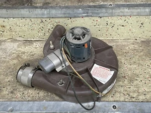 Motor inductor de horno compatible con ICP Heil Tempstar 1000814 HQ1000814FA 44313-1 44340-1 - Imagen 1 de 4