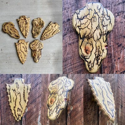 Lichtenberg Fractal Burn European Deer Skull Mount Plaque Pedestal Arrowhead - Image 1 of 4
