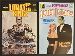 LUNATIC BINGE #2 Jack Davis Wraparound Cover 88 & PURE IMAGES #3 91 beide fast neuwertig/m - Bild 1 von 16