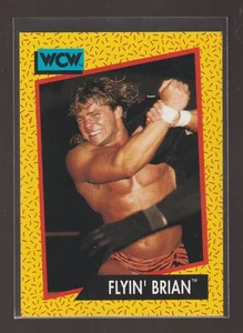 Tarjeta de estreno 1991 WCW Impel #59 Flyin' Brian Stomp Collection - Imagen 1 de 2