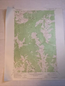 Pasayten Peak Quadrangle Washington 1973 USGS Topographical Map Department Int. - Bild 1 von 13