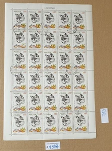 POLAND Stamps : Full Sheet #A3384 - Picture 1 of 1