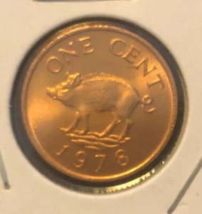 Moneda Bermudas 1978 de 1 centavo de bronce sin circular-19 mm-km#15 - Imagen 1 de 4